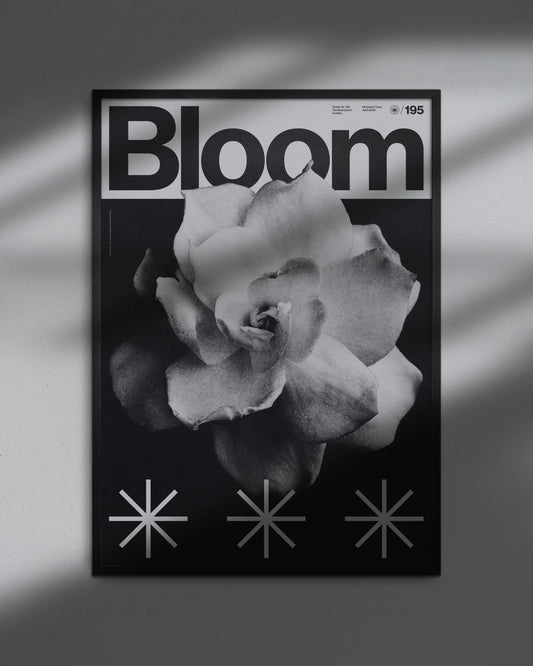 Bloom